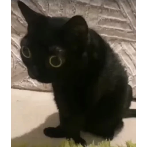 Стикер 😳 из набора я ебала эту жизнь