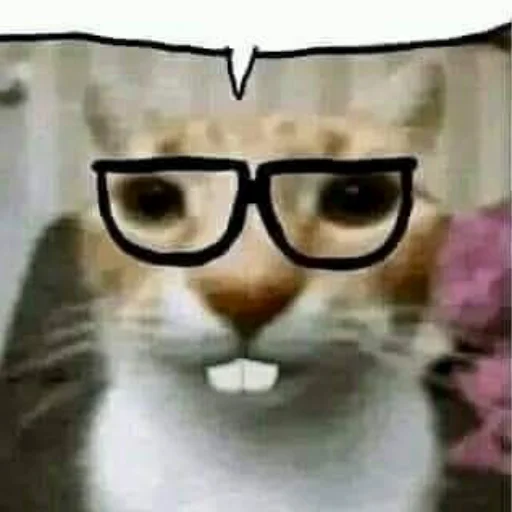 Стикер 🤓 из набора я ебала эту жизнь