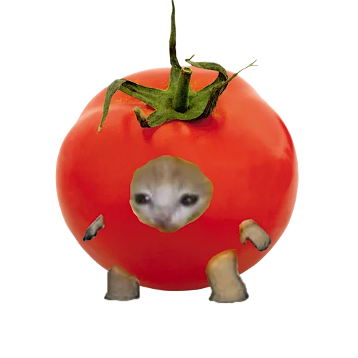 Стикер 🍅 из набора котики овощи коты фрукты