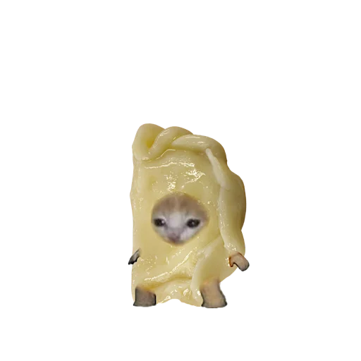 Стикер 🥟 из набора котики овощи коты фрукты