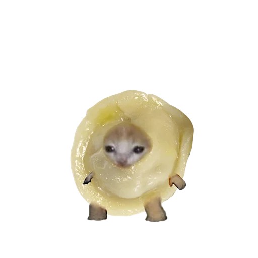 Стикер 🥟 из набора котики овощи коты фрукты