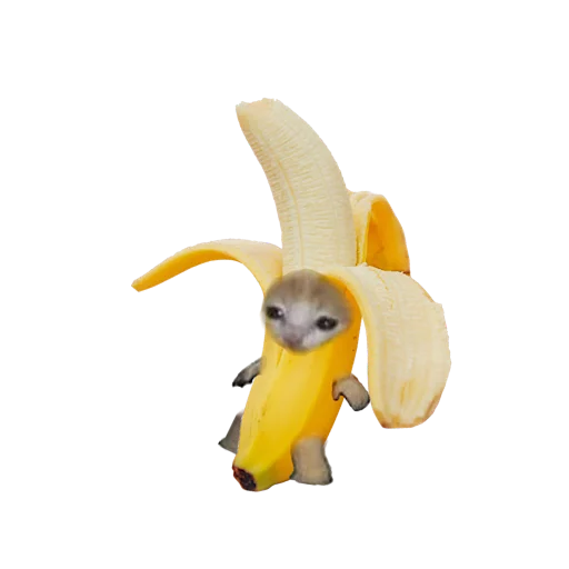 Стикер 🍌 из набора котики овощи коты фрукты