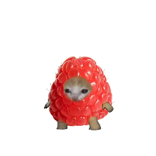 Стикер 🍓 из набора котики овощи коты фрукты