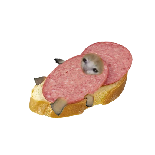 Стикер 🥪 из набора котики овощи коты фрукты