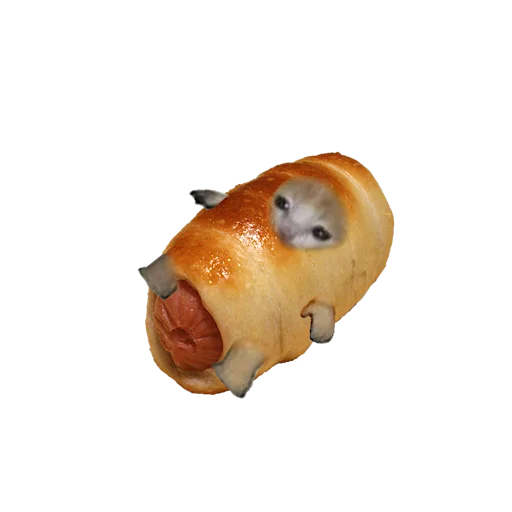 Стикер 🌭 из набора котики овощи коты фрукты
