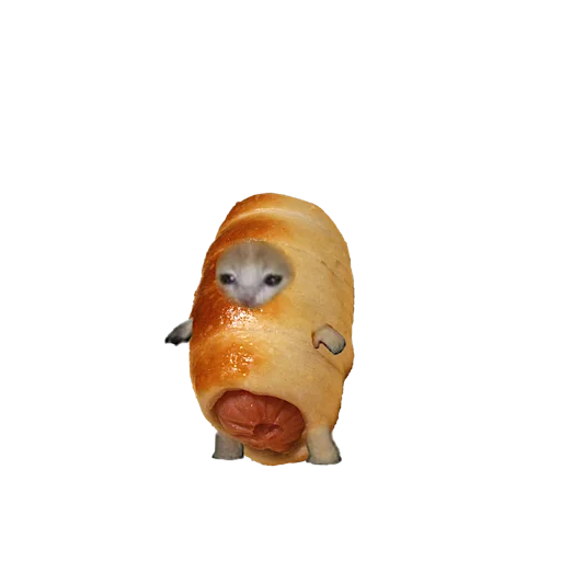 Стикер 🌭 из набора котики овощи коты фрукты