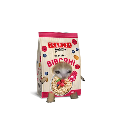 Стикер 🍚 из набора котики овощи коты фрукты