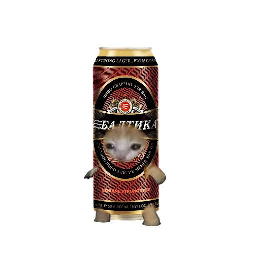 Стикер 🍺 из набора котики овощи коты фрукты