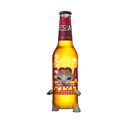 Стикер 🍺 из набора котики овощи коты фрукты