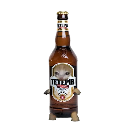 Стикер 🍺 из набора котики овощи коты фрукты