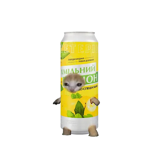 Стикер 🍺 из набора котики овощи коты фрукты