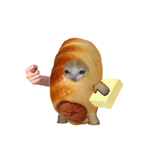 Стикер 🌭 из набора котики овощи коты фрукты
