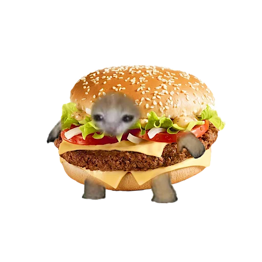 Стикер 🍔 из набора котики овощи коты фрукты