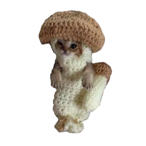 Стикер 🍄 из набора котики овощи коты фрукты
