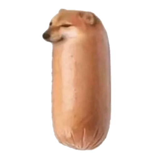 Стикер 🌭 из набора котики овощи коты фрукты