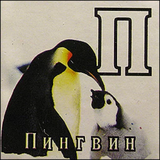 Стикер 🤬 из набора Perfonata