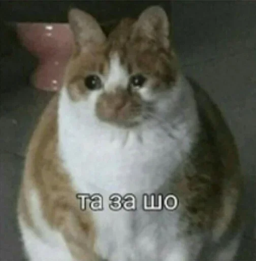 Больше стиков тут: