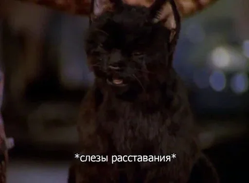Стикер 🤧 из набора Больше стиков тут: