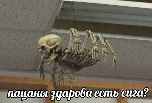Стикер 👋 из набора Больше стиков тут: