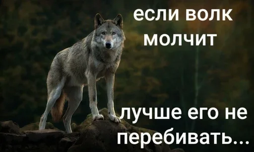 Стикер 🙄 из набора Больше стиков тут: