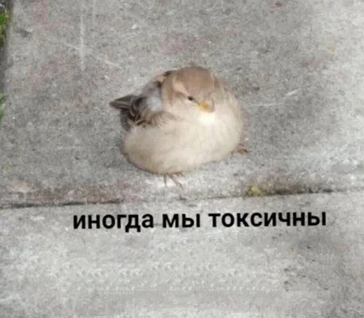 Стикер 🤧 из набора Больше стиков тут: