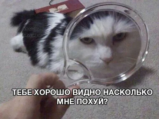 Стикер 🙄 из набора Больше стиков тут: