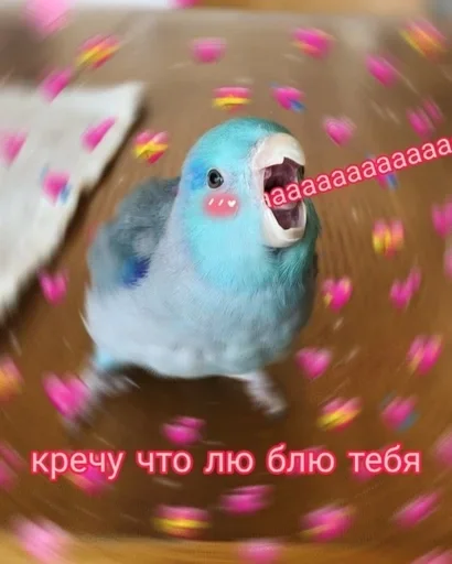 Стикер ❤️ из набора Больше стиков тут: