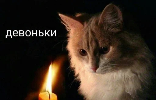 Стикер 😢 из набора Больше стиков тут: