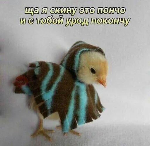 Стикер 😡 из набора Больше стиков тут:
