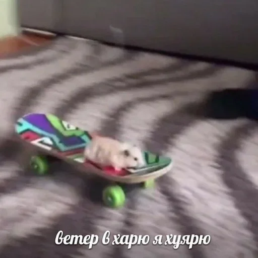 Стикер 🏃‍♂ из набора Больше стиков тут:
