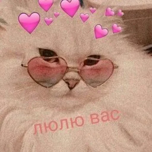 Стикер 💗 из набора Больше стиков тут: