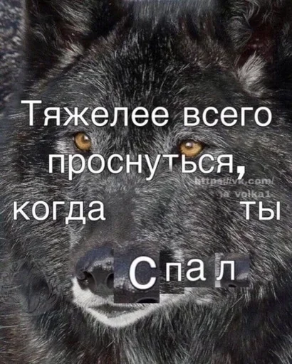Стикер 👋 из набора Больше стиков тут: