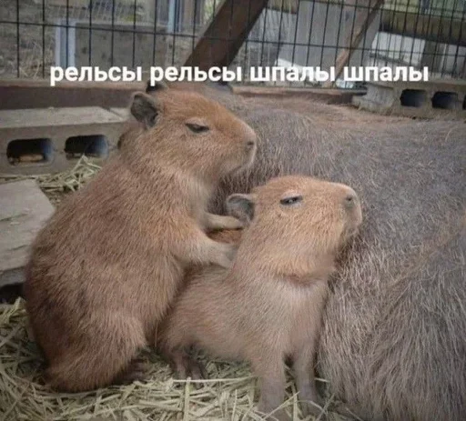 Стикер 💋 из набора Больше стиков тут: