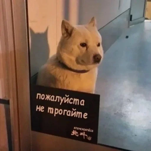 Стикер 😢 из набора Больше стиков тут:
