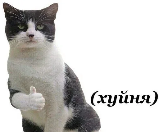 Стикер 🙄 из набора Больше стиков тут: