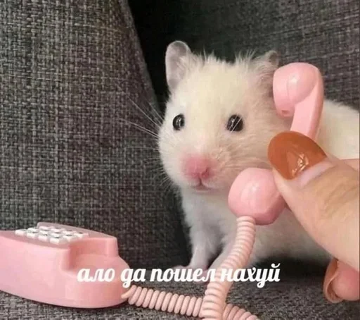 Стикер 🤨 из набора Больше стиков тут: