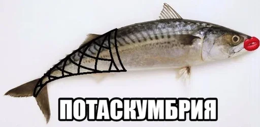 Стикер 😮 из набора Больше стиков тут: