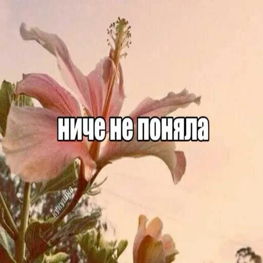 Стикер 😁 из набора slay пак ➡️