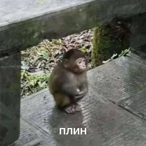 Стикер 😞 из набора slay пак ➡️