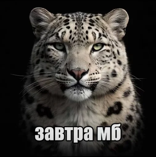 Седня не