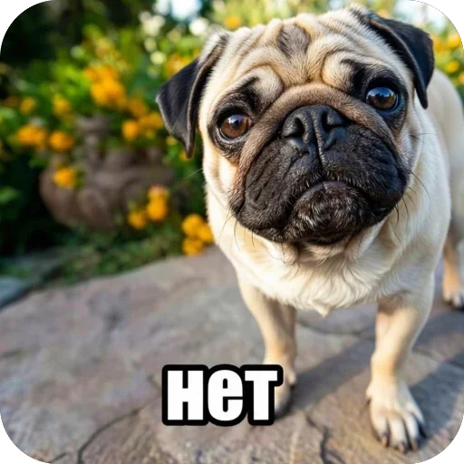 Стикер 🫥 из набора Седня не