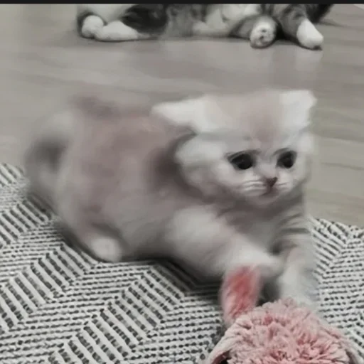 Больше стиков тут: