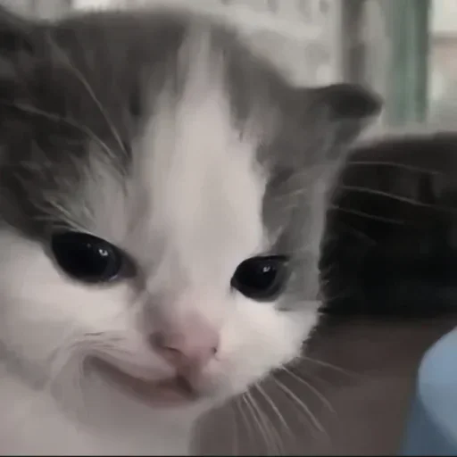 Больше стиков тут: