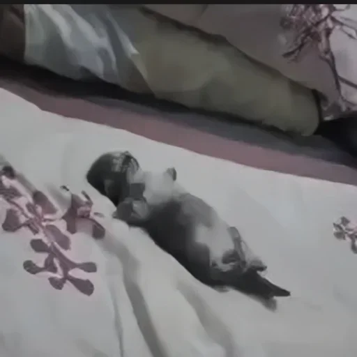Стикер 🍄 из набора Больше стиков тут: