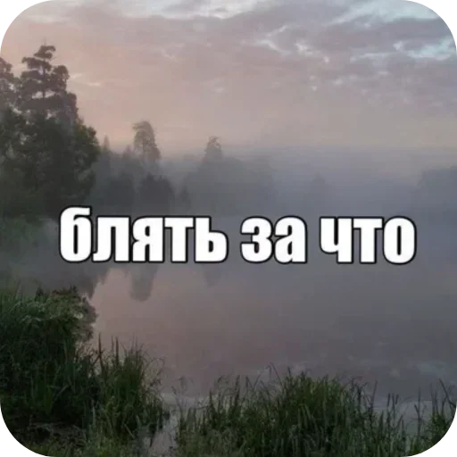 Больше стиков тут: