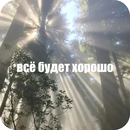 Стикер 👍 из набора Больше стиков тут: