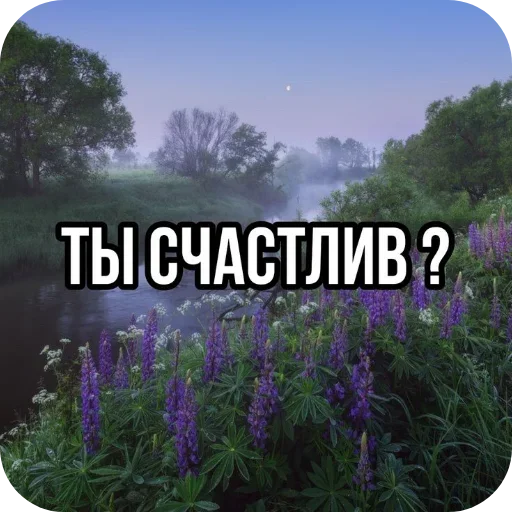 Стикер 👍 из набора Больше стиков тут: