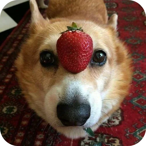 Больше стиков тут: