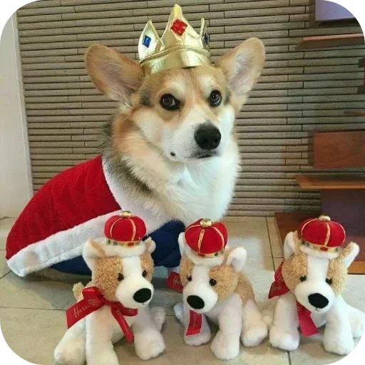 Стикер 🐶 из набора Больше стиков тут: