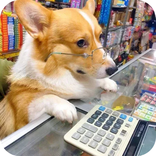 Стикер 🐶 из набора Больше стиков тут: